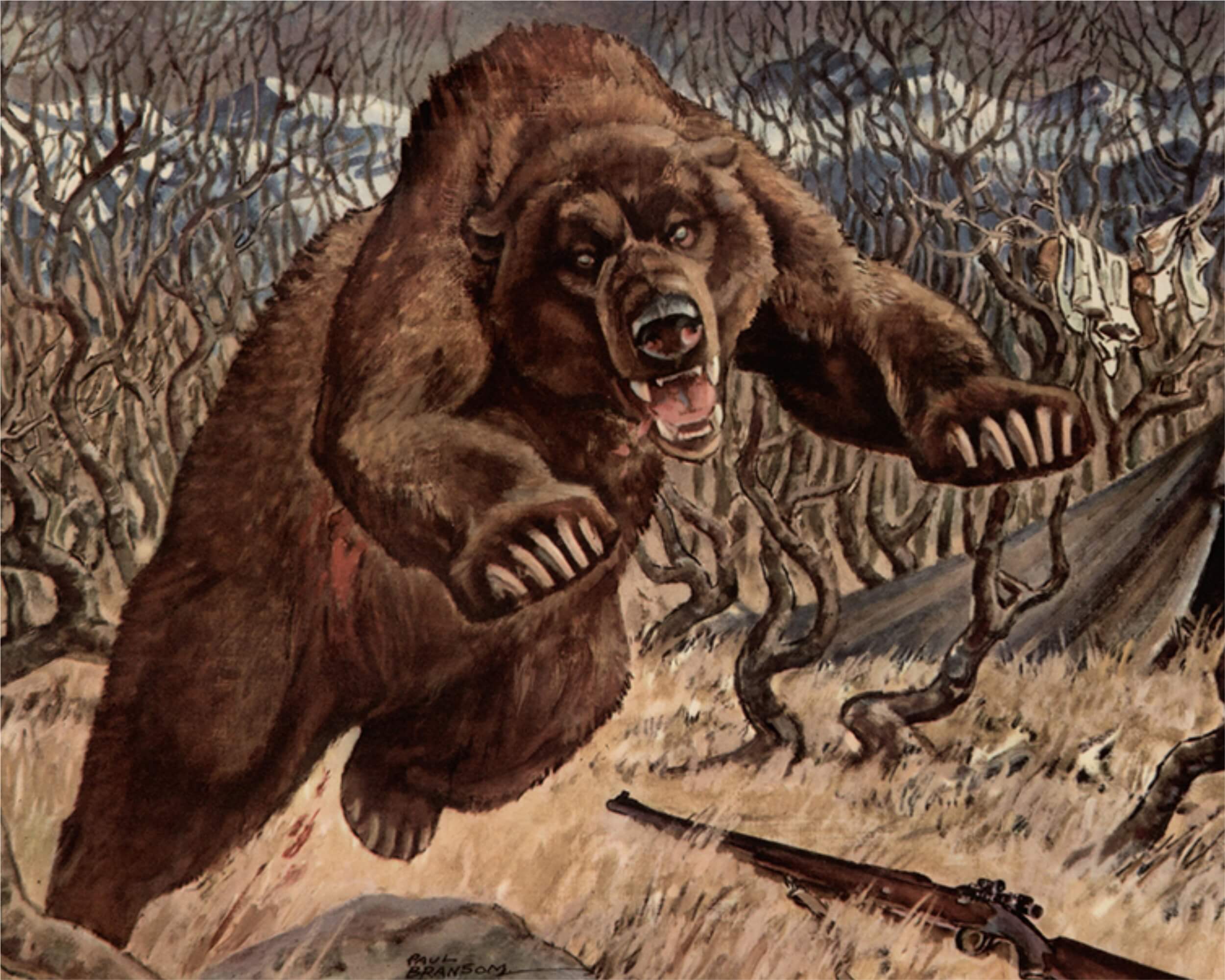 BEAR CHARGE 1
