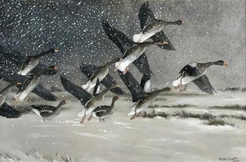 blizzard